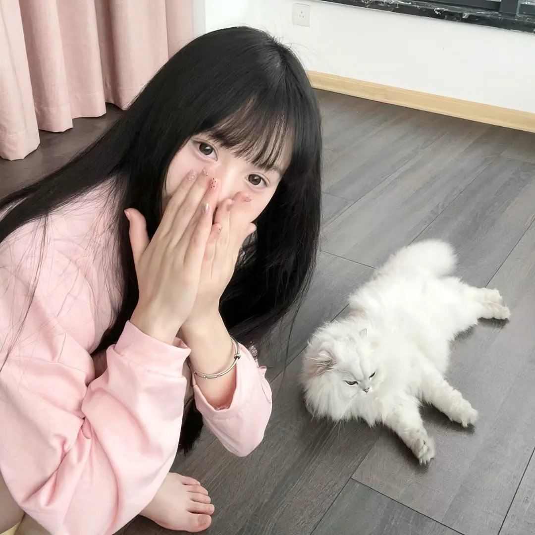 爱的算法