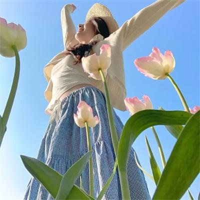 秃顶神探