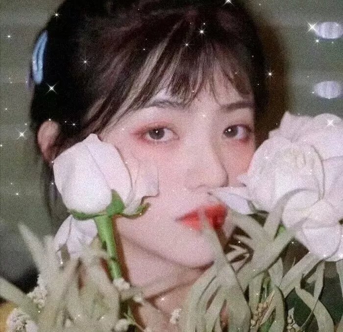 花岛